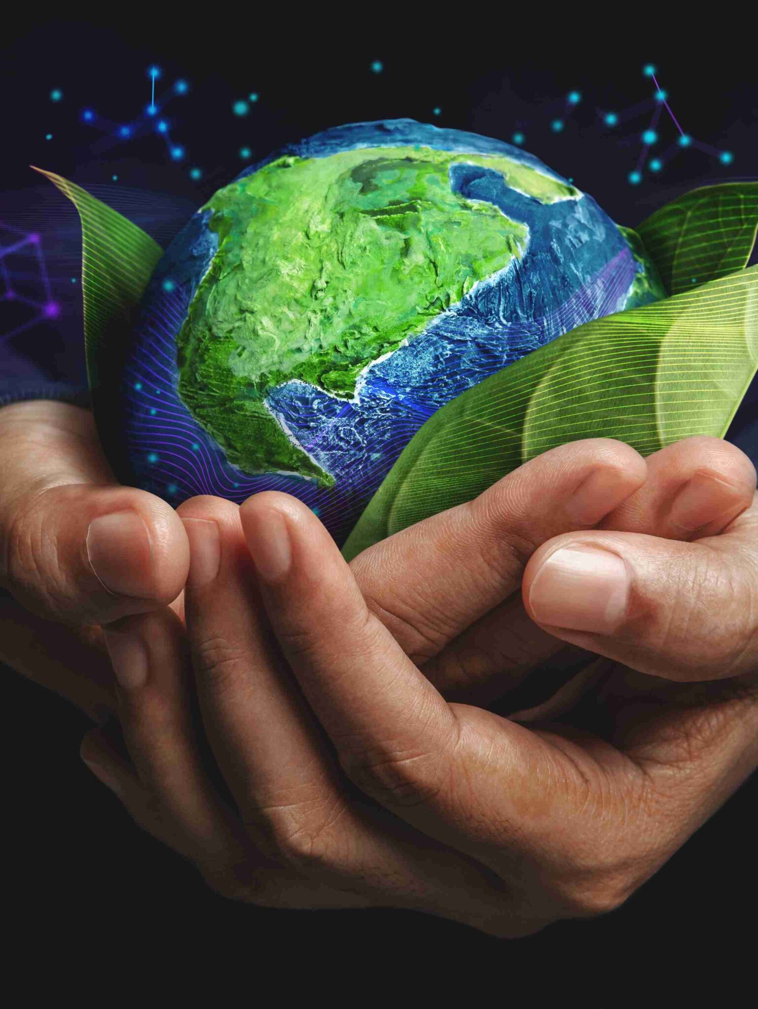 o-papel-das-empresas-para-um-futuro-sustentável